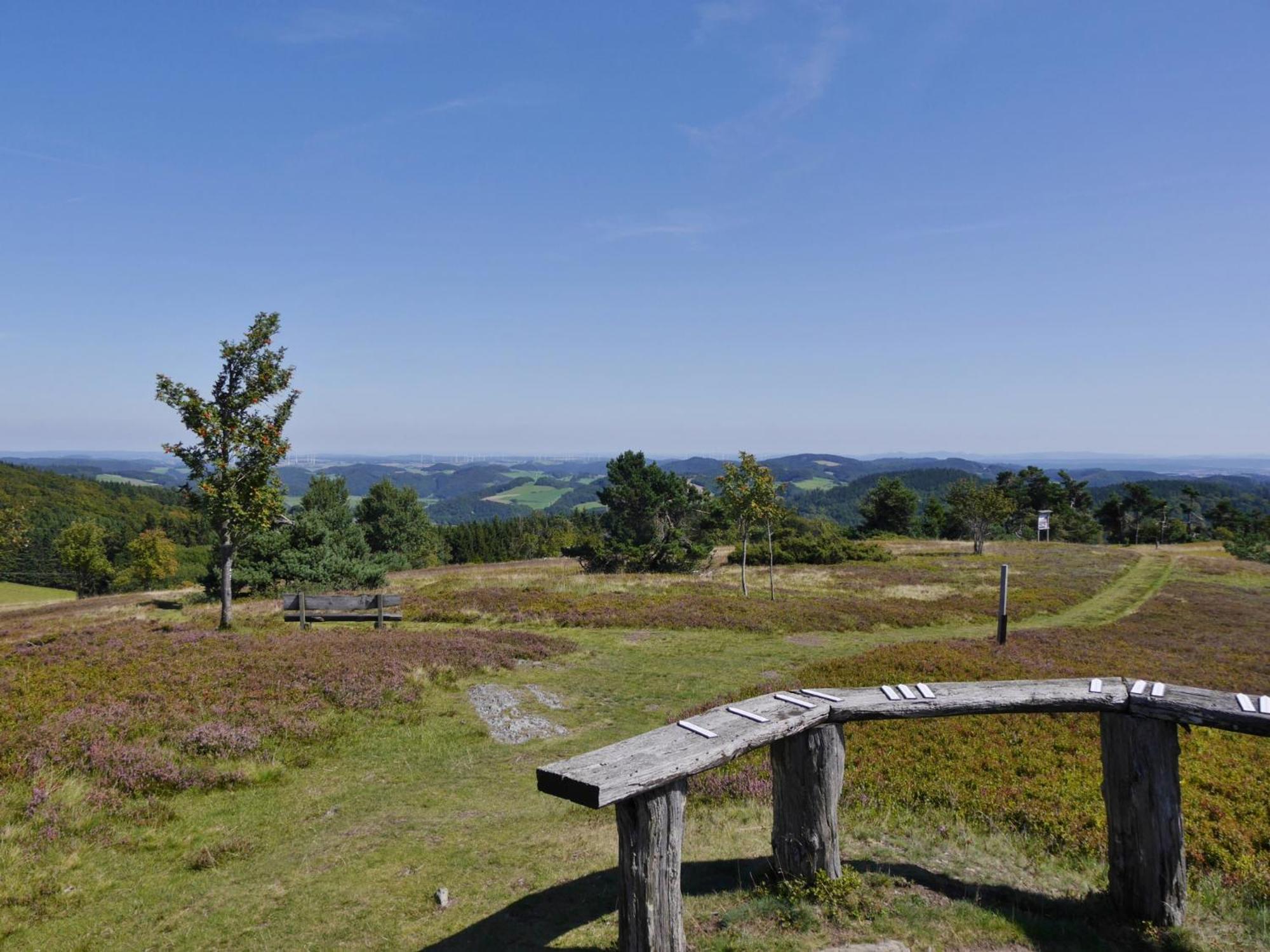 Ferienhaus Diemelquelle - Mit Eingezaeuntem Garten Willingen  Eksteriør bilde