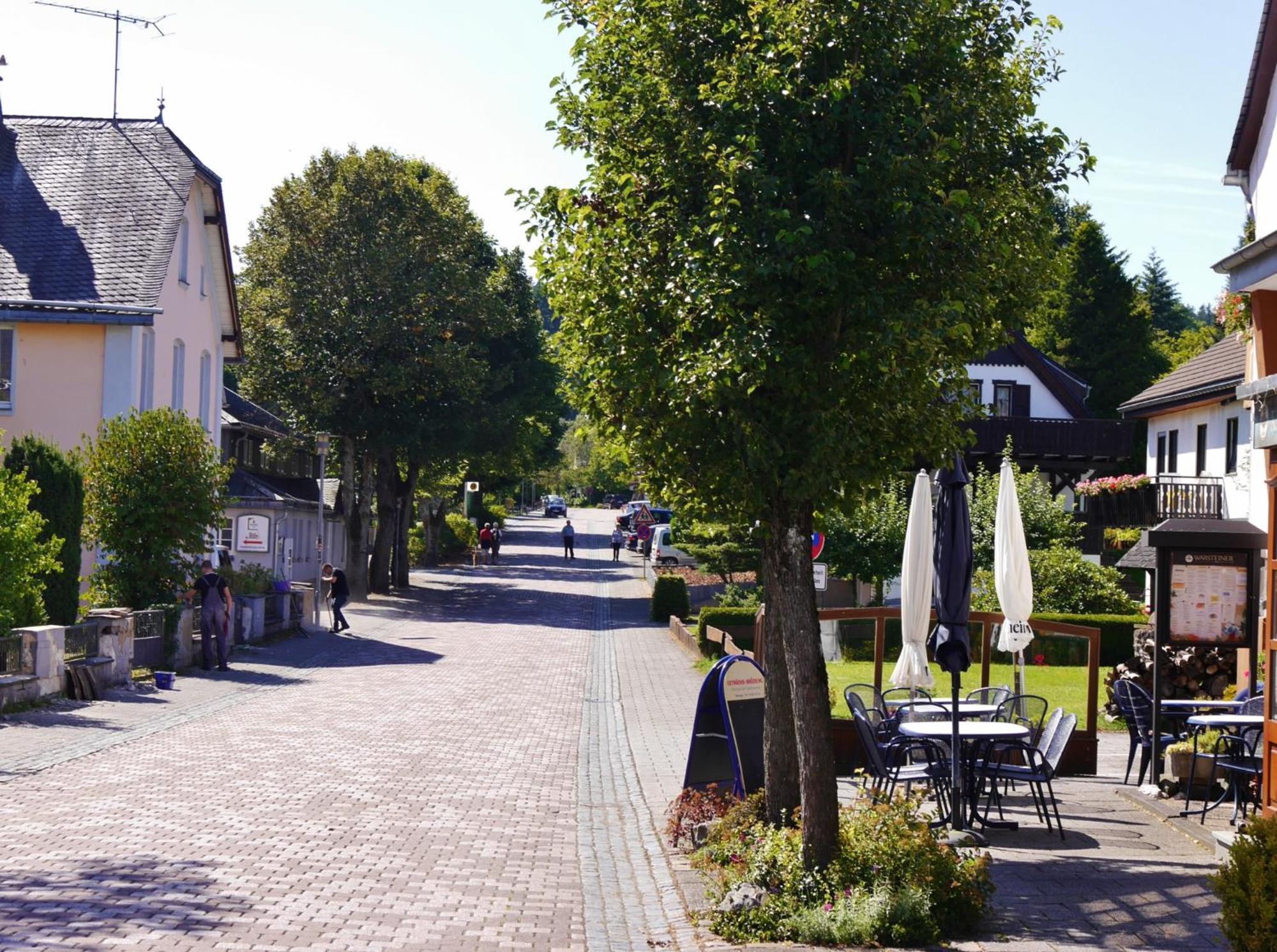 Ferienhaus Diemelquelle - Mit Eingezaeuntem Garten Willingen  Eksteriør bilde