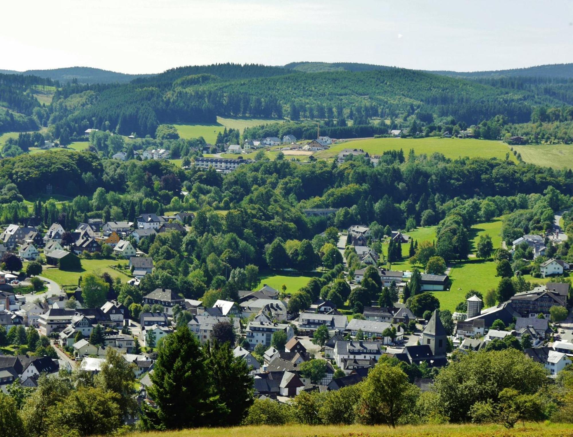 Ferienhaus Diemelquelle - Mit Eingezaeuntem Garten Willingen  Eksteriør bilde