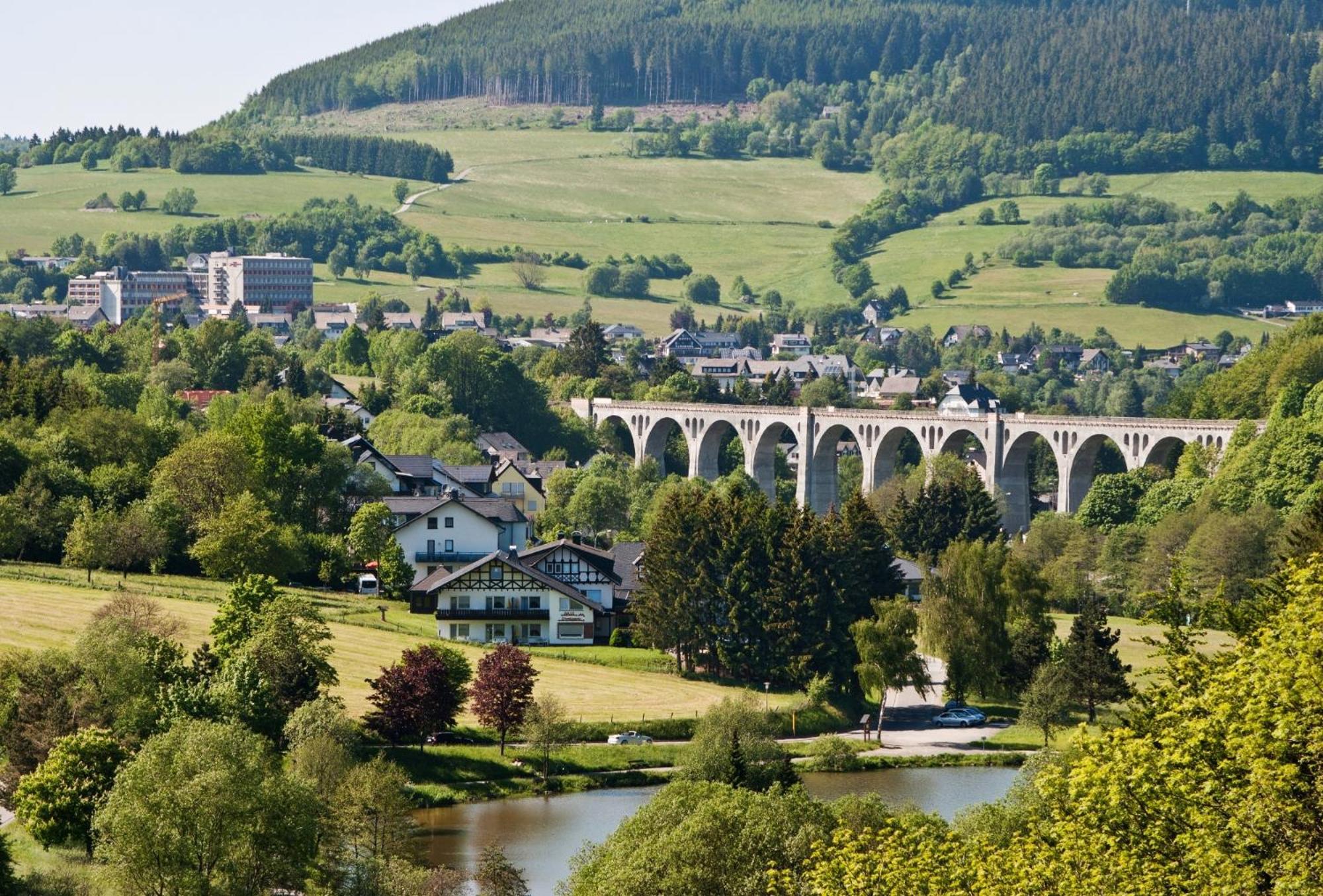 Ferienhaus Diemelquelle - Mit Eingezaeuntem Garten Willingen  Eksteriør bilde